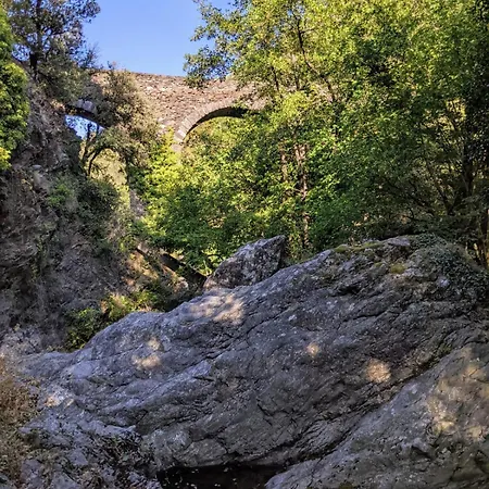 Les De L'abric